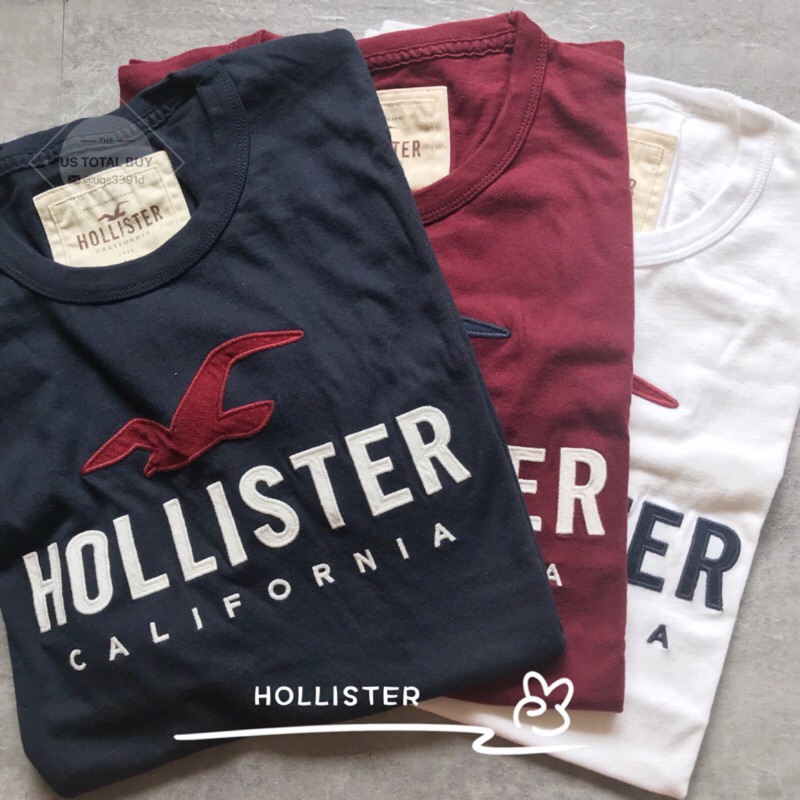 Hollister classic t deals shirt