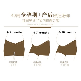 U-Shaped Low Waist Maternity Inner Pants Women Pregnant Underwear 孕妇安全裤  MFMP002