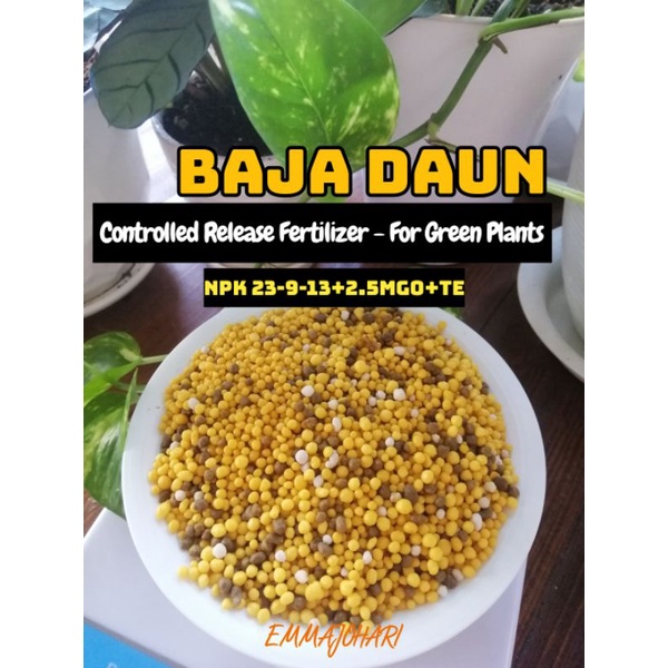 Osmocote Green Plants Controlled Release Fertilizer 23913 + 2.5Mg0