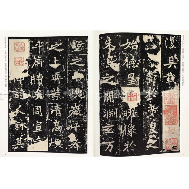 真作】紫野義山/萬年緑毛亀/茶道具/茶掛/禅語/掛軸☆宝船☆AD-605