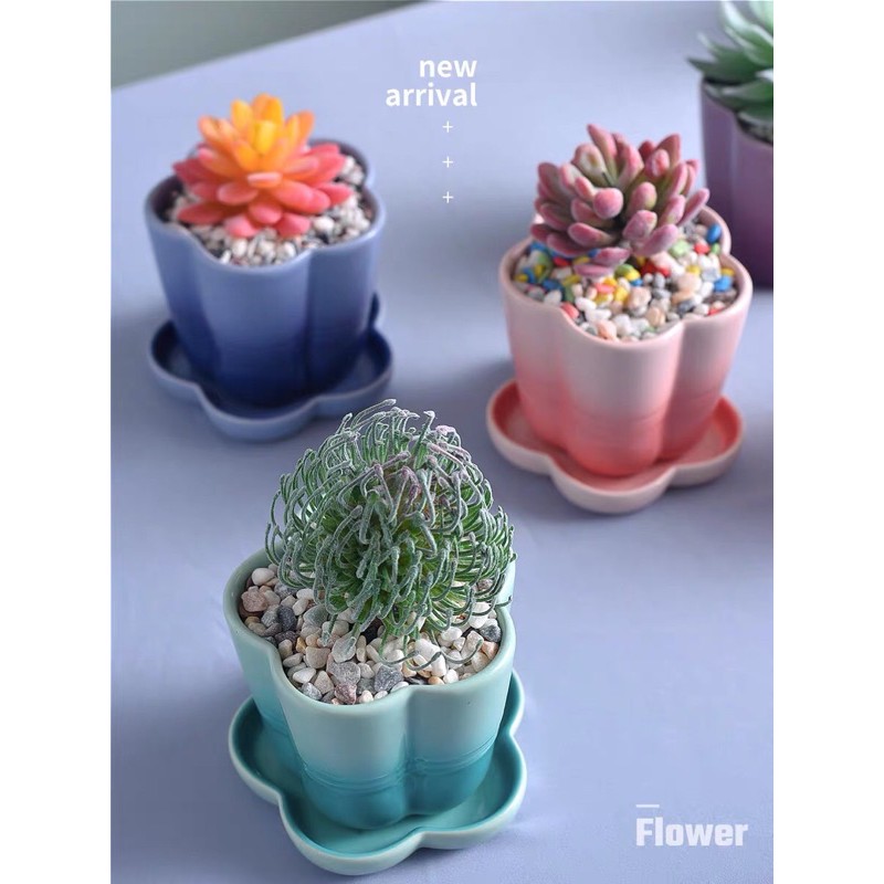 PCL-28 Fafa Flower Pot (NOT LE CREUSET) | Shopee Malaysia