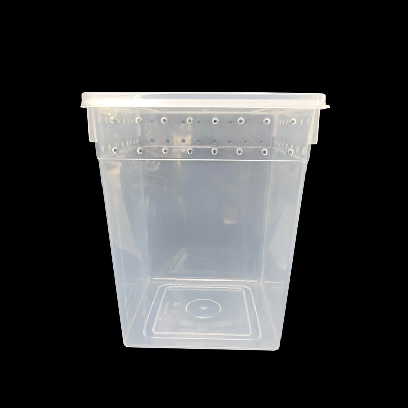 [Sapien] Arboreal Tarantula Transparent Plastic Enclosure 20*20*25cm