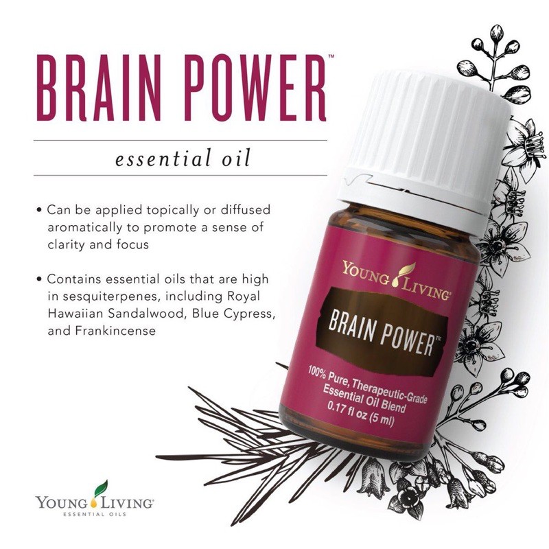 ヤングリヴィング ヤングリビング ブレインパワー5ml ヤングリビング