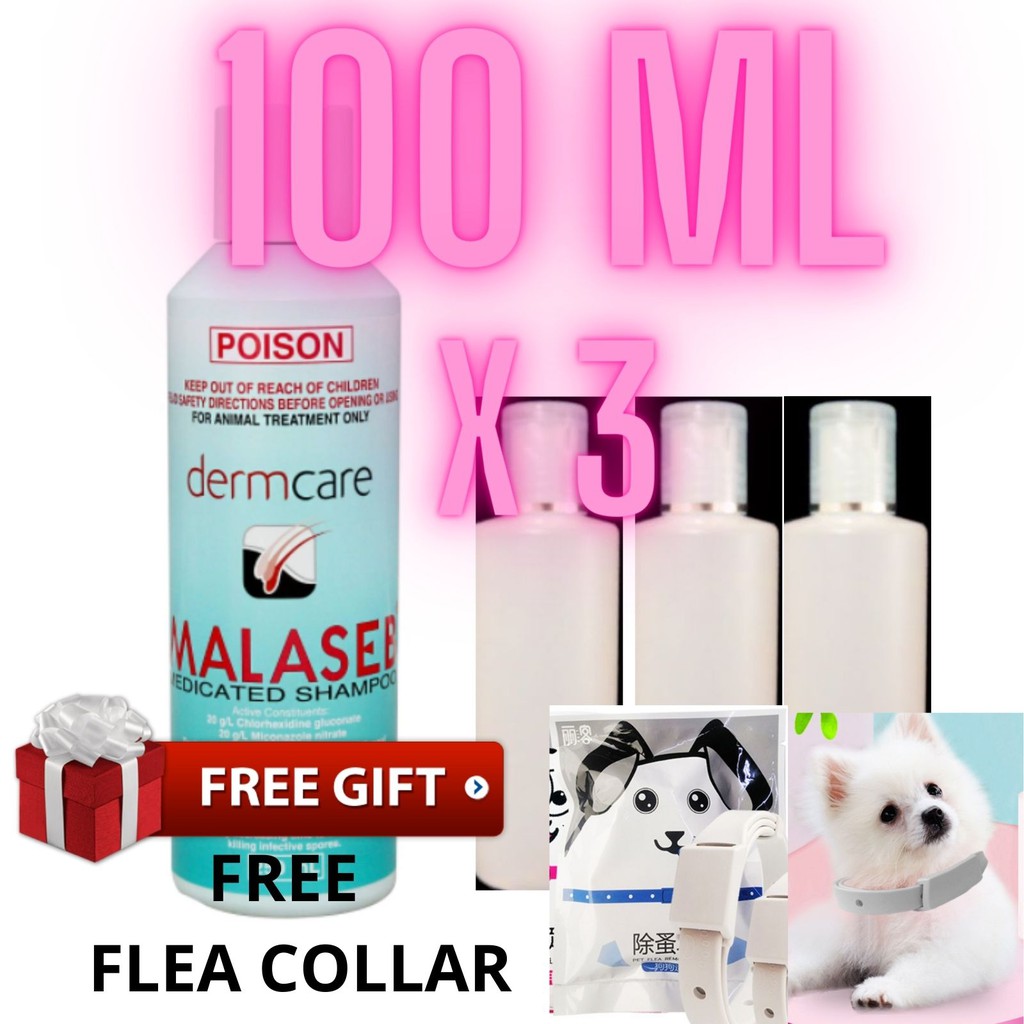 Malaseb pet shampoo dog shampoo cat shampoo kucing fungus kurap Anti