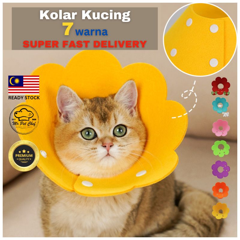 Cat Collar Cone Pet Elizabeth Collar Cat Neck Colar Kolar Kucing Sakit Cute Kitten E Coller