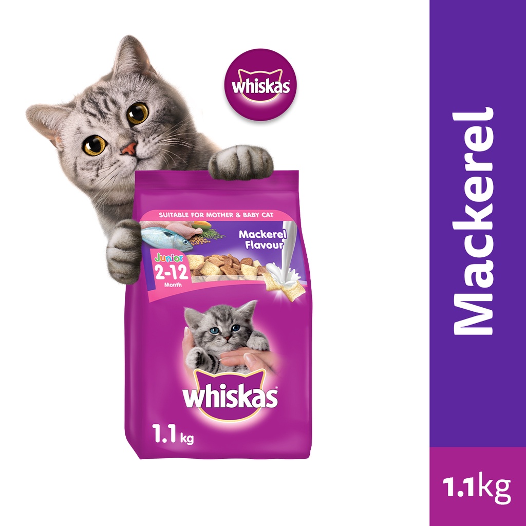 WHISKAS Junior Mackerel Flavor with Milk Kitten Food, 1.1 kg. Dry Cat