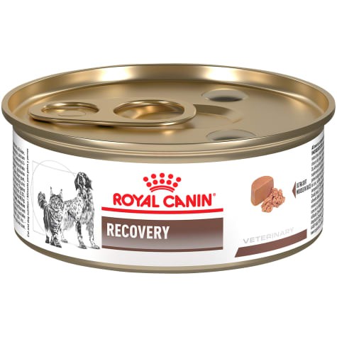 Royal 2025 canin pork