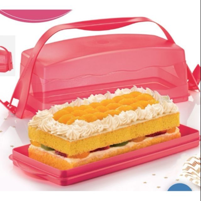 Tupperware Cake newest Taker Rectangle