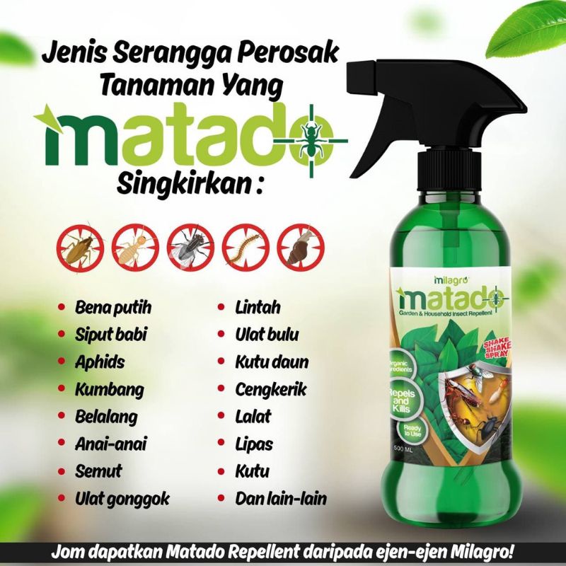 Matado Racun Organik Spray Serangga Perosak Tanaman Belalang, Ulat Daun ...