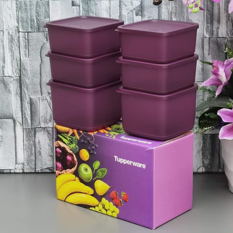 SoFresh Set Tupperware Purple Series Bekas Lauk/Buah/Sayur (650ml / 1L ...