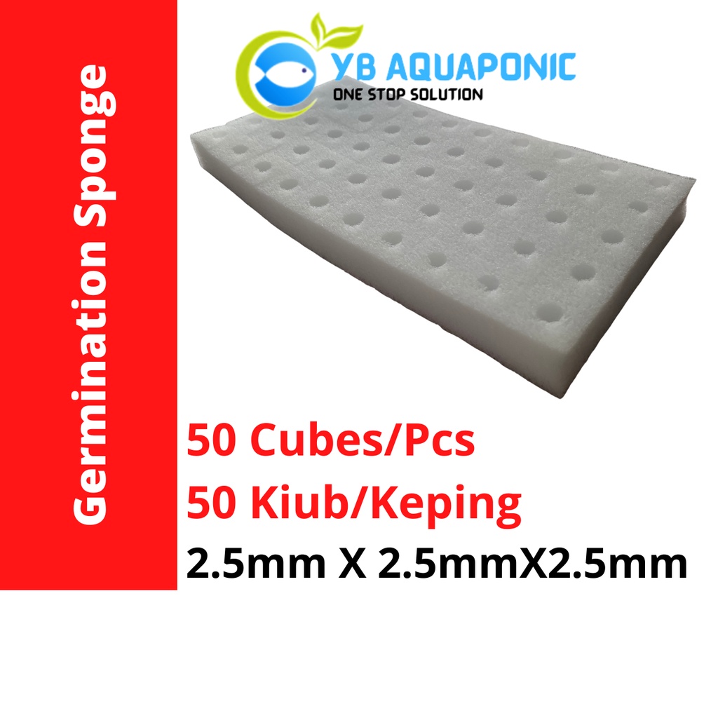50 PCS Quality Seed Germination Sponge/Seeding Sponge Hydroponic ...