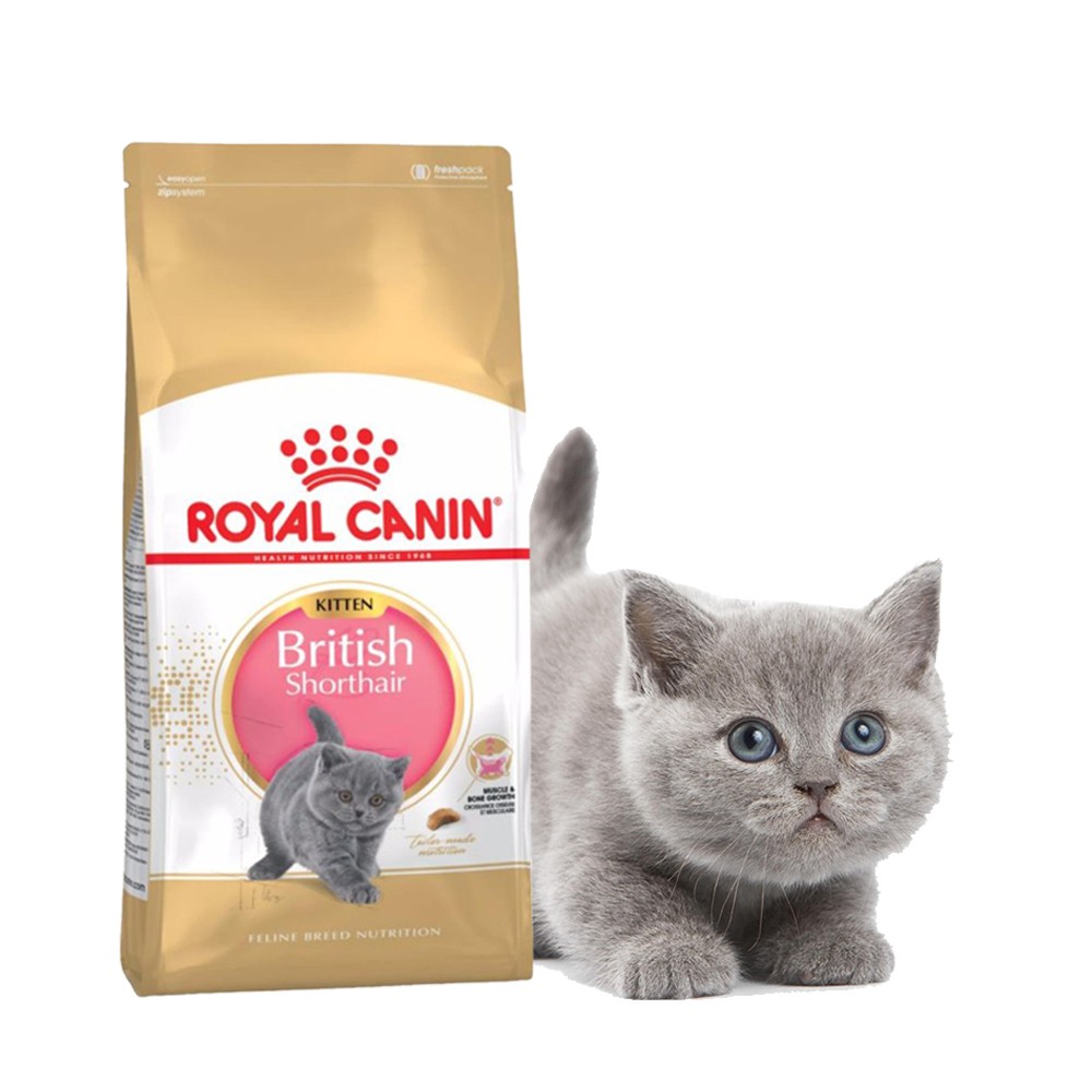 REPACK ROYAL CANIN FELINE BRITISH SHORTHAIR KITTEN CAT FOOD 500GM 1KG Shopee Malaysia