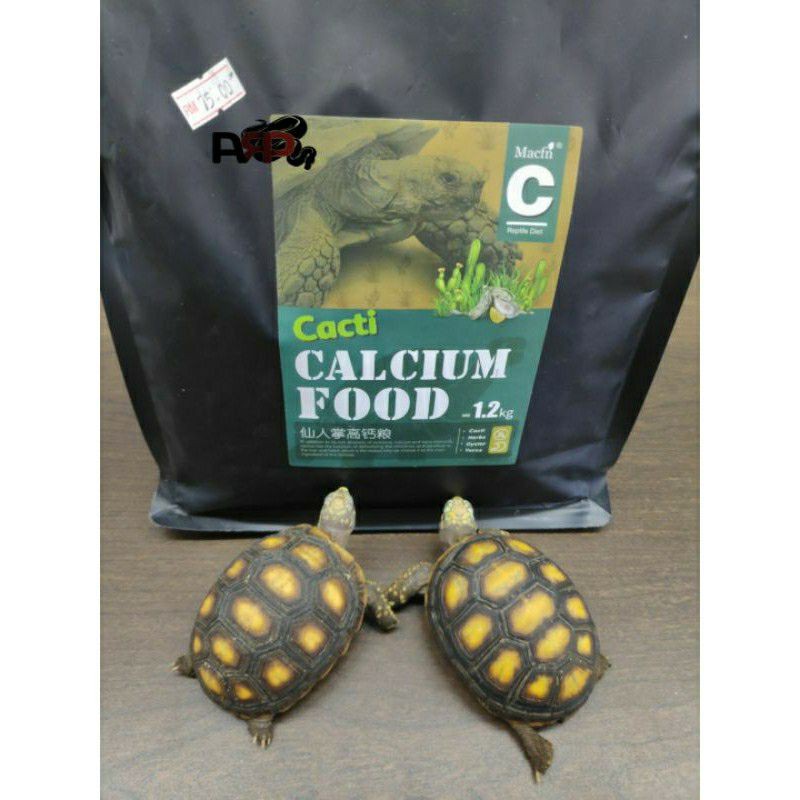 Macfn 100 ORIGINAL Cacti High Calcium Tortoise Food ( repack ) 100g