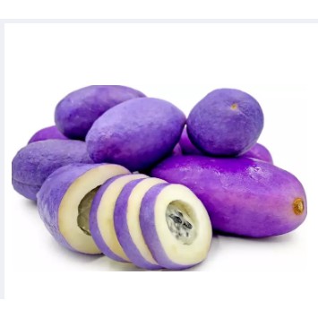japanese Purple Akebi Fruit seed -Holboellia latifolia-very rare seeds ...