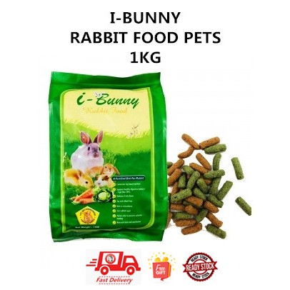 Bunny 2024 rabbit food