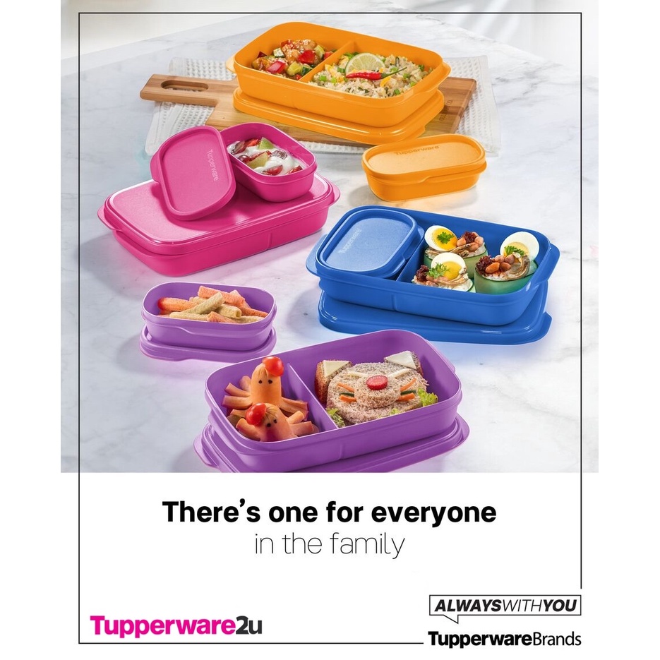 Tupperware Lunch Box/Foodie Buddies