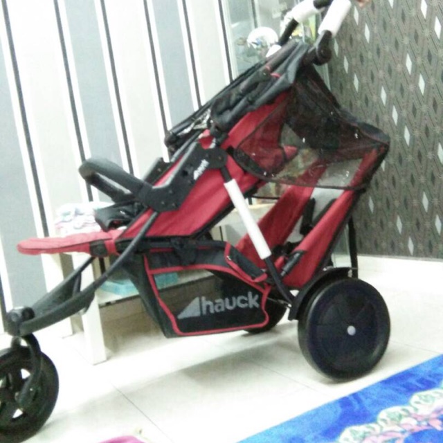 Hauck double best sale buggy freerider