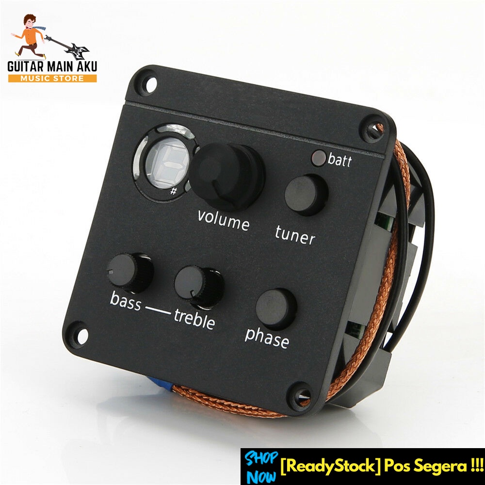 Acoustic guitar onboard deals preamp