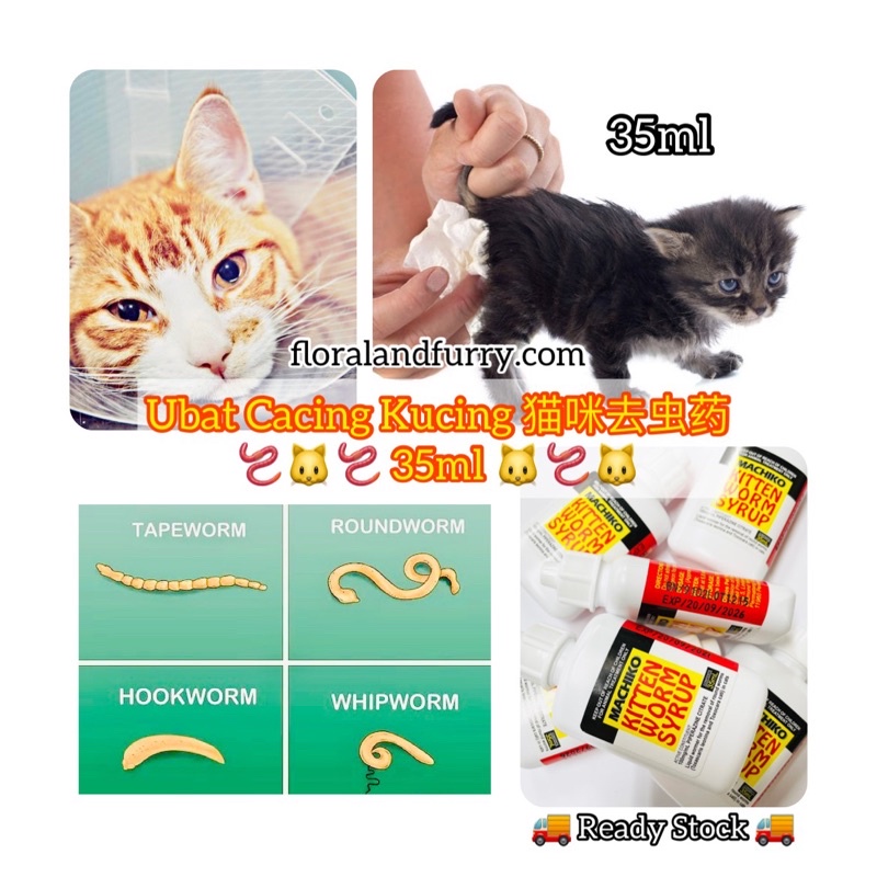 Machiko Kitten Worm Syrup 35ml Ubat Cacing Untuk Anak Kucing Pet