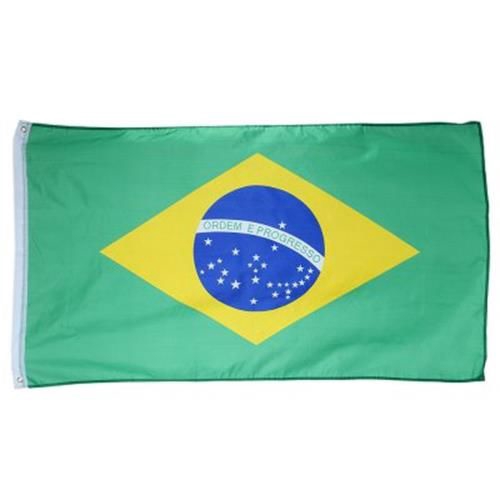 Royal Blue Attention Flag - Solid Color Nylon Flag 12 in by 18 in : Outdoor Flags