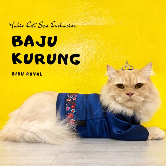 Baju Raya Kucing Biru Royal | Shopee Malaysia