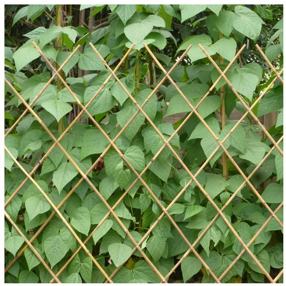 Nature garden bamboo stick for fence rolled bamboo wood reed fence