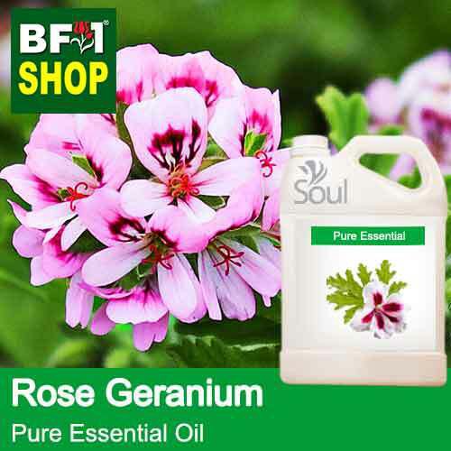 Rose Geranium Essential Oil 15ml