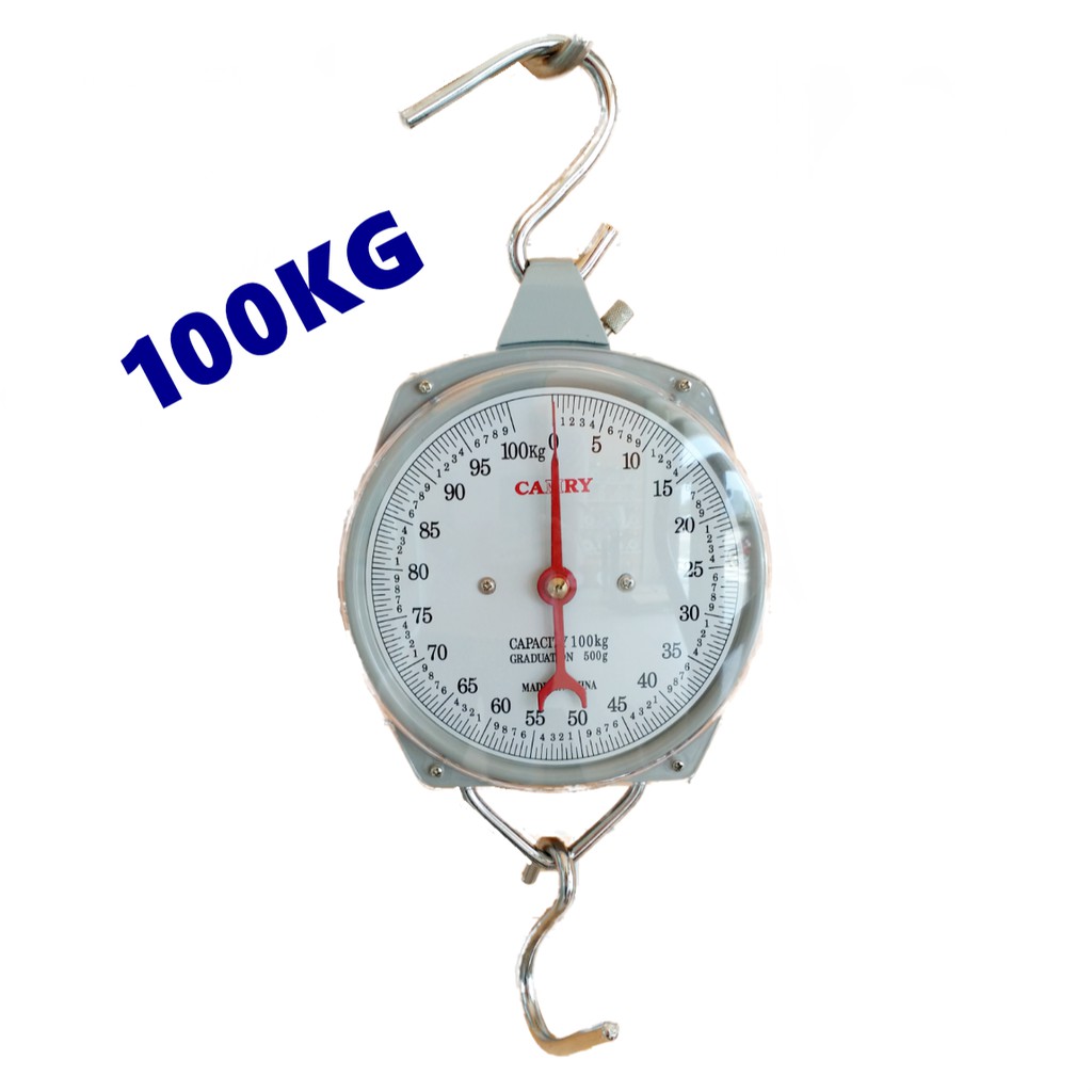 100kg - 150kg Camry Hanging Scale / NTA Needle Hanging Scale