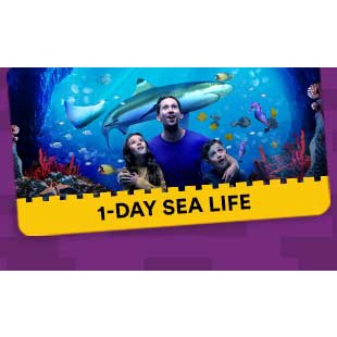 SEA LIFE® Aquarium Carlsbad LEGOLAND® California
