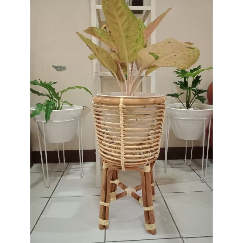 Original NATURAL RATTAN COLORED RATTAN POT STANDING | Shopee Malaysia