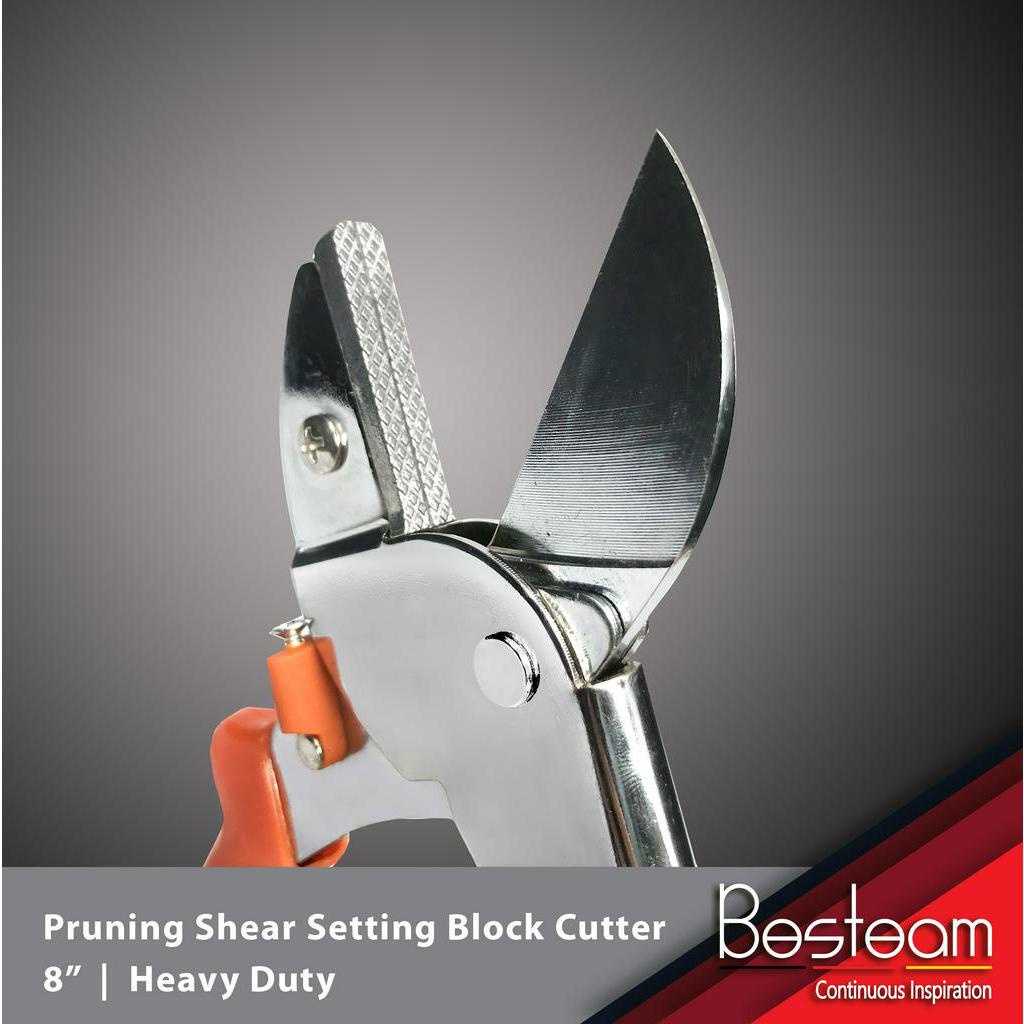 Pruning Shear Setting Block Cutter Heavy Duty | Shopee Malaysia
