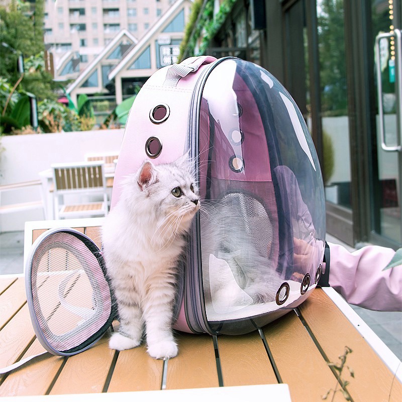 Pet Bag Premium Transparent Astronaut Pet Carrier Bag Cat Carrier ...