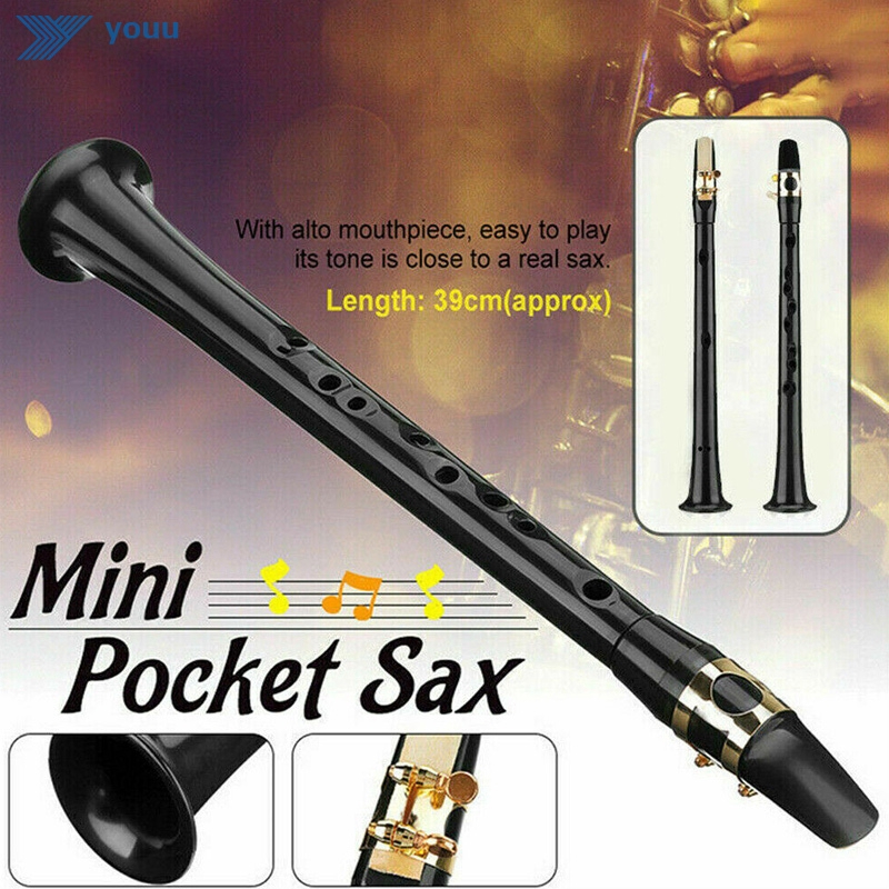 Pocket Saxophone Bb Mini Sax ABS with Alto Mouthpieces 10pcs Reed Carrying  Bag Woodwind Instrument