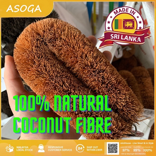 [Xhome] Made in Sri Lanka, ASOGA Coconut Fiber Floor Brush, Dish ...