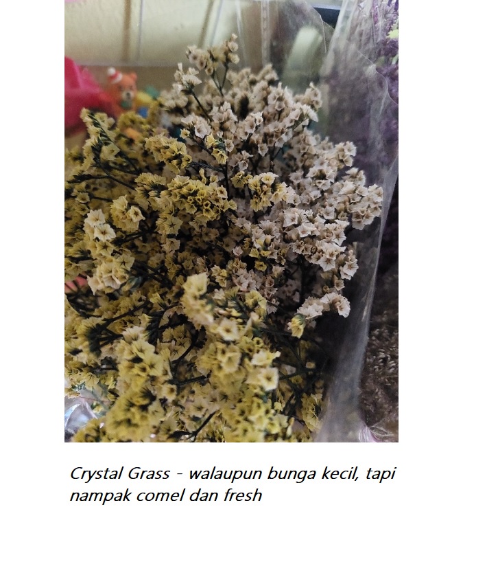 Ready Stock I 50g /100g I Crystal Grass I Preserved Flower | Dried ...