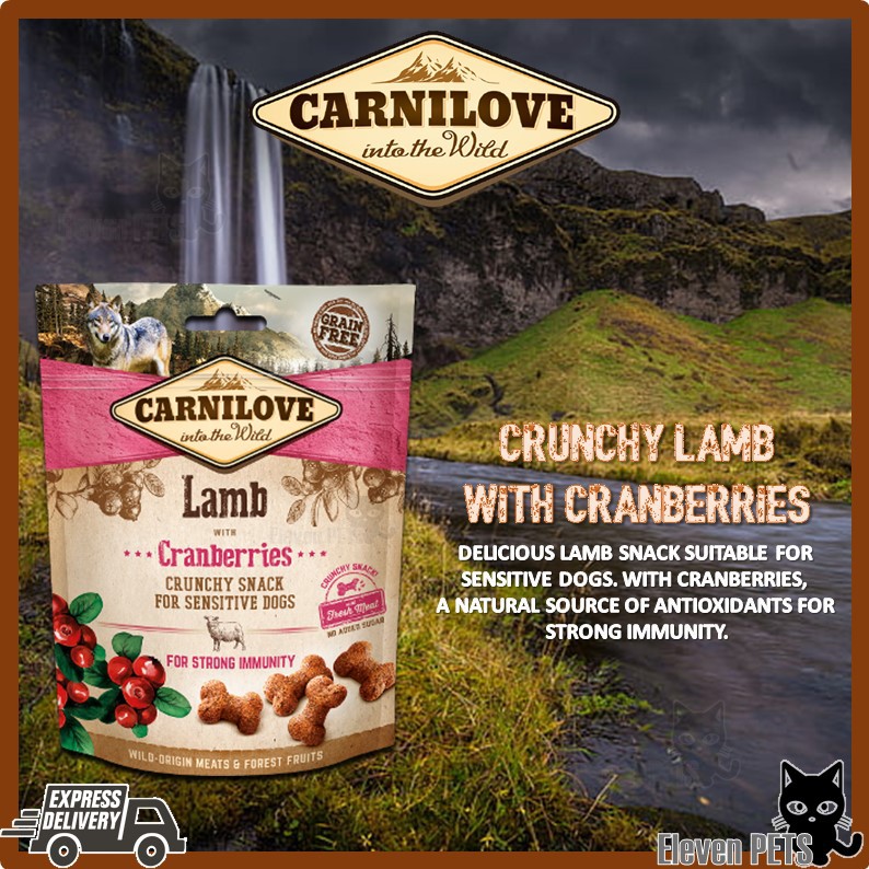 Carnilove Dog Snack Dog Treats 200g (Crunchy, Soft, Salmon, Lamb