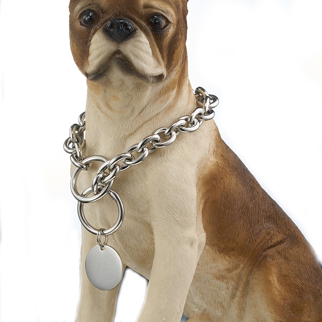 Silver chain 2024 dog collar