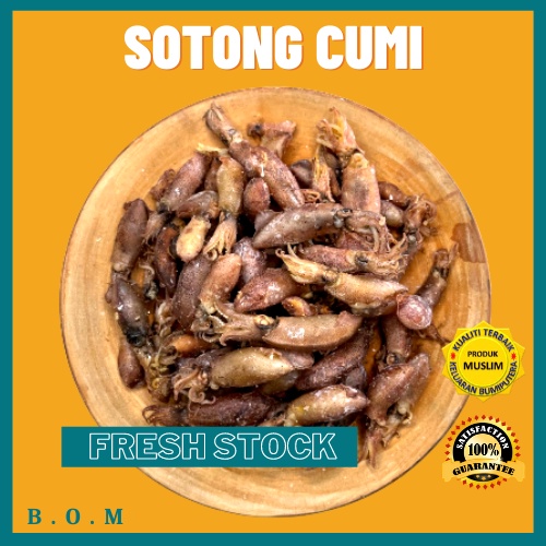 Sotong Cumi Cumi Fresh Ready Stock Original Tawau Shopee Malaysia