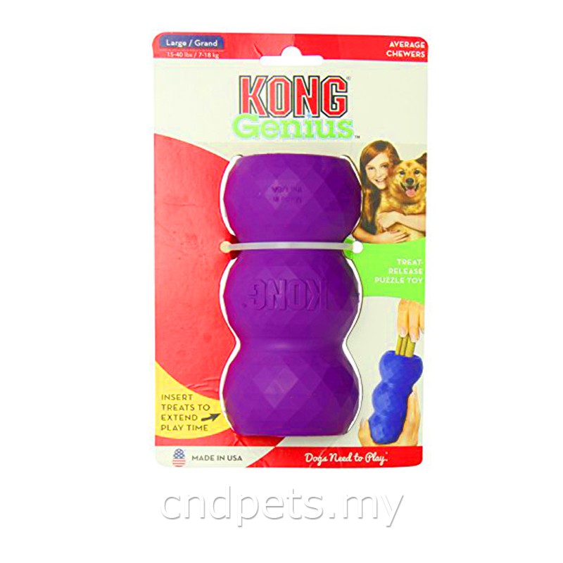 Kong genius leo large best sale