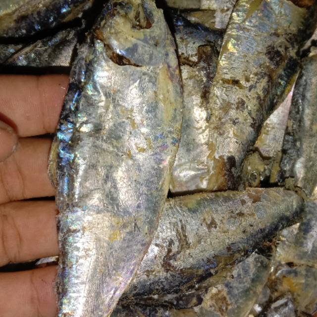 Garbage salted fish 1 Kg | Shopee Malaysia