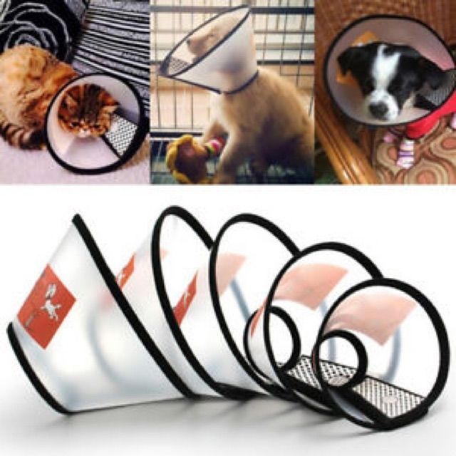 🔥Ready Stock🔥Adjustable Elizabethan Collar Recovery Pet Cone for Cat ...