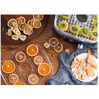 Biolomix Bpa Free 5 Trays Food Dryer Dehydrator With Digital Timer And  Temperature Control For Fruit Vegetable Meat Beef Jerky - Dehydrators -  AliExpress