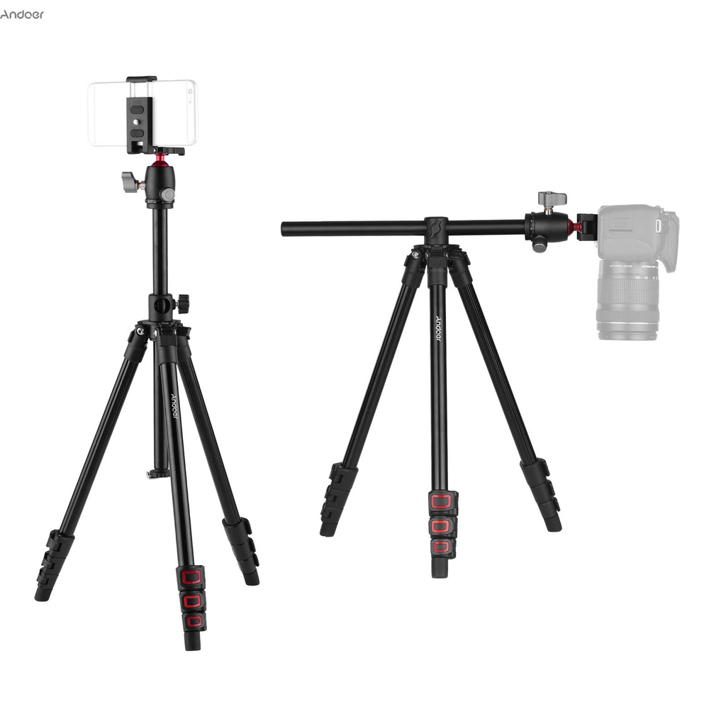 camera with travel tripod