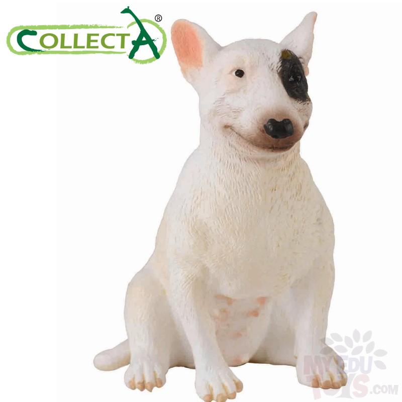 Action best sale bull terriers