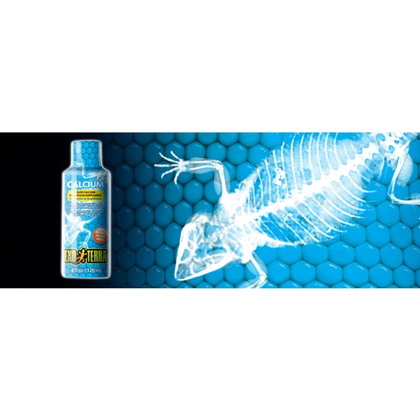 REPTILE LIQUID CALCIUMMAGNESIUM SUPPLEMENT (120ml) Shopee Malaysia