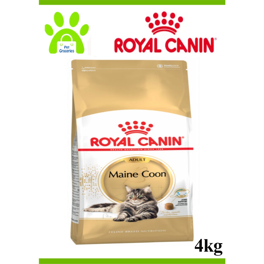 Royal Canin Maine Coon Adult Cat Food 4kg Expiry Date September 2025 New Stock