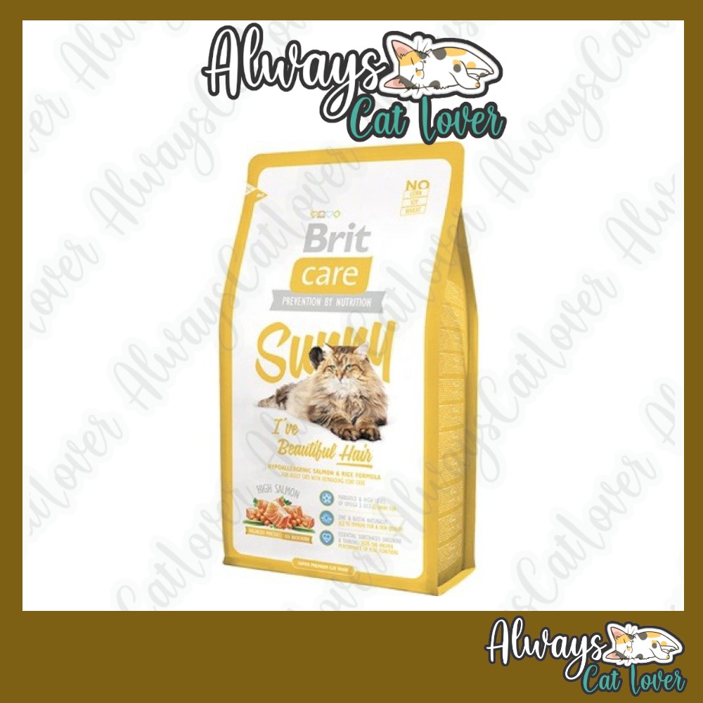 Brit care cat 2024 sunny beautiful hair