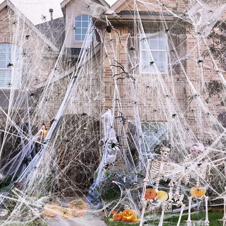 Giant Cobweb Spider Web Halloween Decoration Nylon Black Spiders Indoor  Outdoor
