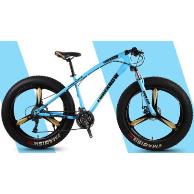 Fat Bike 24 26 Inch MTB Mountain Bike 4.0 Tires 21 Speed Rim 3 5 Spoke Basikal Murah F01