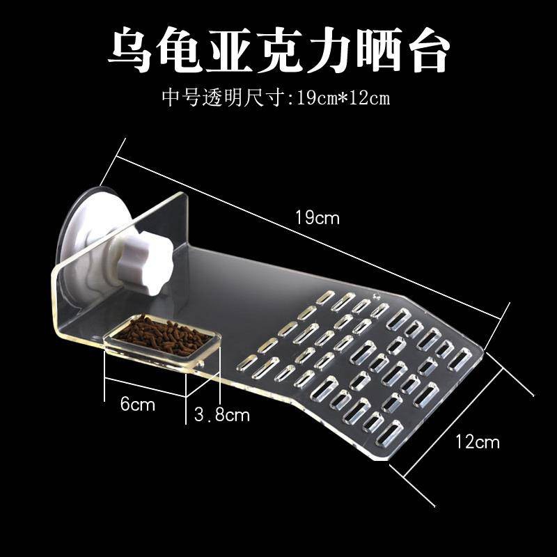 Penyu Sun Climbing Table Sun Turtles Turtle Tenggelam Lapuna Floating ...